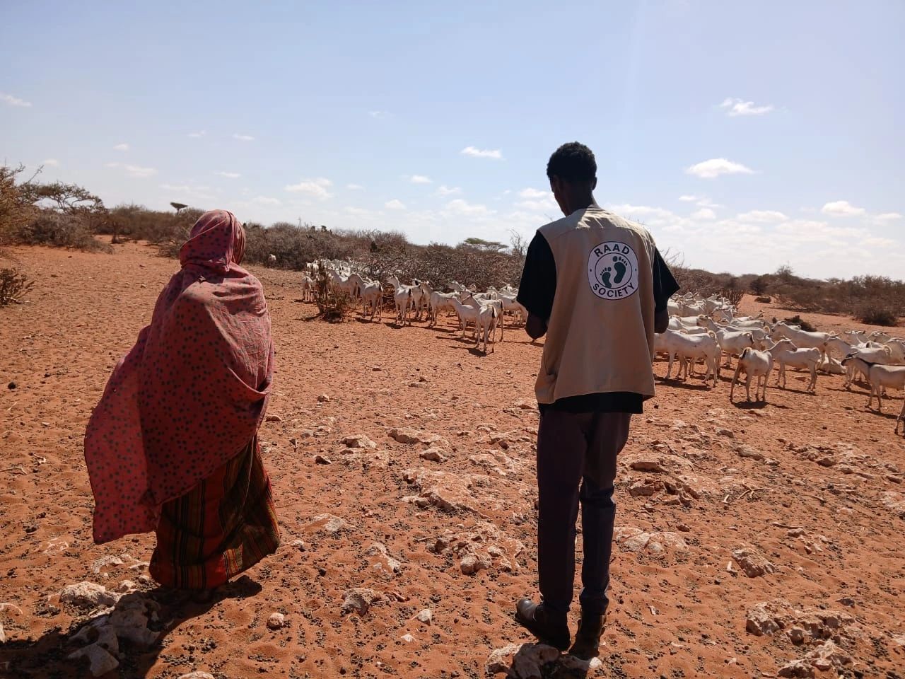 Feld observation on drought impact in Galdogob district